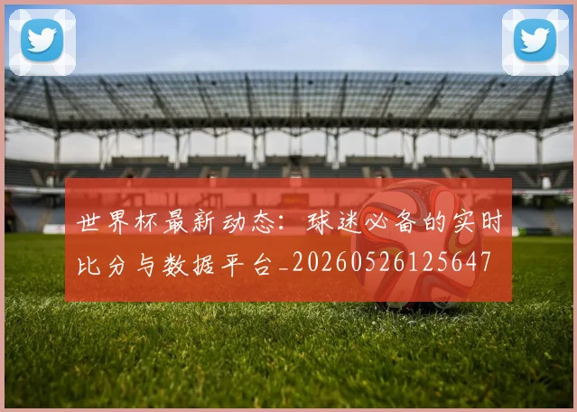 世界杯最新动态：球迷必备的实时比分与数据平台_20260526125647