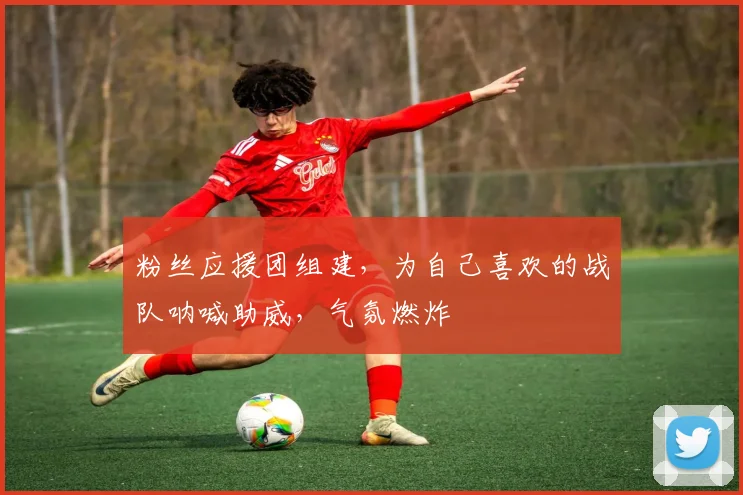 粉丝应援团组建，为自己喜欢的战队呐喊助威，气氛燃炸