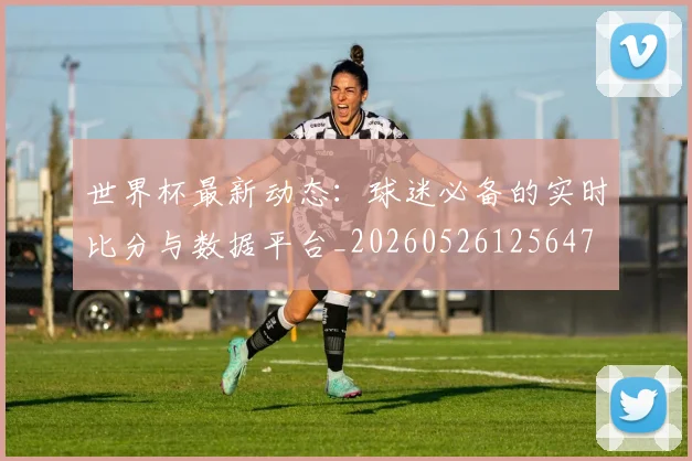 世界杯最新动态：球迷必备的实时比分与数据平台_20260526125647