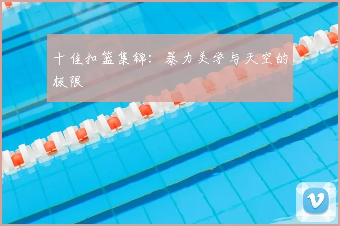 十佳扣篮集锦:暴力美学与天空的极限